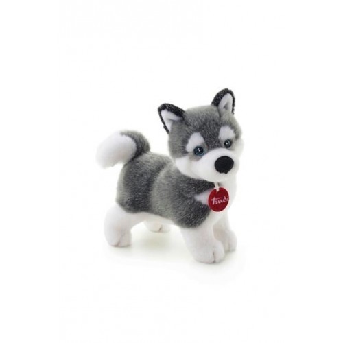 Husky Marcus