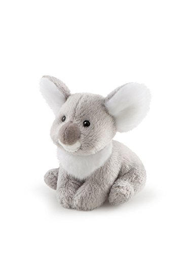 Sw Col Koala